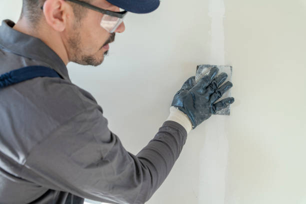Best Commercial Mold Inspection  in Boyceville, WI