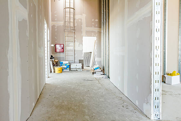 Best Water Damage & Mold Remediation  in Boyceville, WI