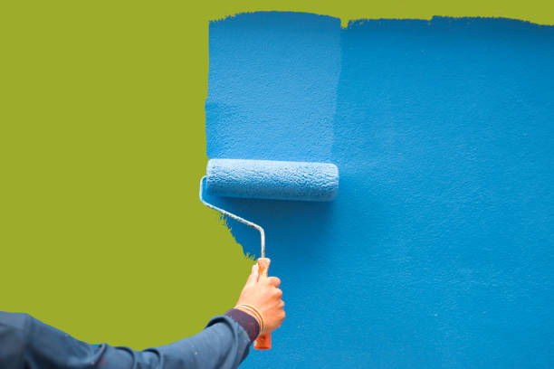 Best Attic Mold Removal  in Boyceville, WI